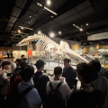 004 NUS Lee Kong Chian Natural History Museum Visit 008
