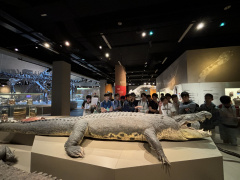 004 NUS Lee Kong Chian Natural History Museum Visit 013