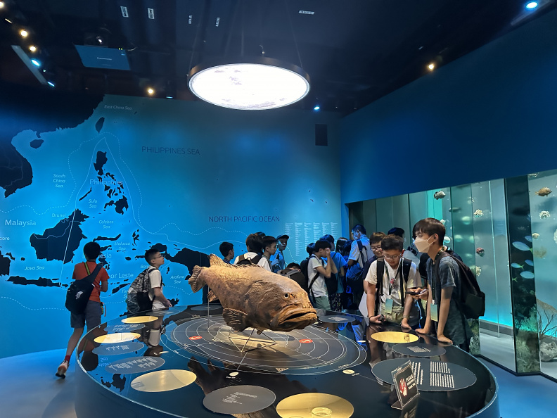 004 NUS Lee Kong Chian Natural History Museum Visit 014.jpg