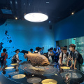 004 NUS Lee Kong Chian Natural History Museum Visit 014