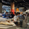 004 NUS Lee Kong Chian Natural History Museum Visit 012