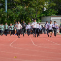 STA00768
