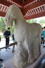 西安文化交流團 0269