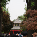 西安文化交流團 0338