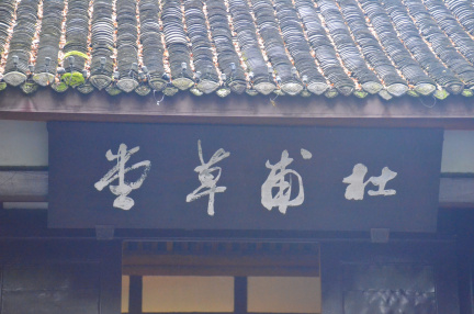DSC 8854